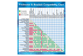 fish tank mates chart freshwater fish compatibility for a