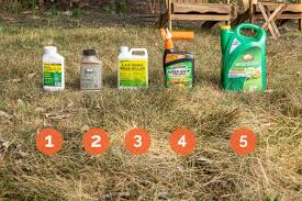 Ranger pro is made by monsanto co., the same company that makes roundup pro. The Best Weed Killers Of 2021 Reviews By Your Best Digs