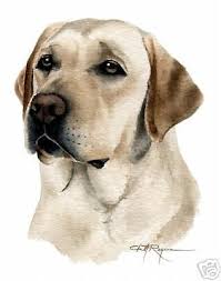 Labrador Retriever Profile Silhouette Google Search Labradorretriever Labrador Retriever Hayvan Ve Hayvanlar