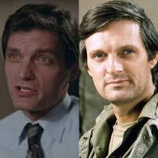 Cynthia Branco's Instagram, Twitter & Facebook