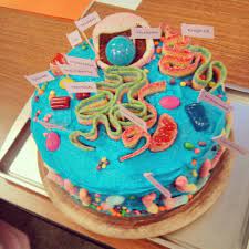 How to make an animal cell model 3d project for science exhibition | how to make animal cell model #animalcellmodel. My Friends Cake Cell Model Animal Cells Model Animal Cell Cell Model