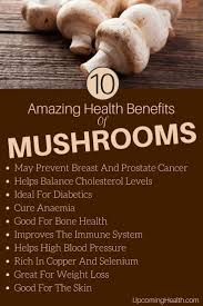 Mushrooms Not Only Taste Great And Make A Great Meal Inclusions But They Are Also Packed With Health Benefits Of Mushrooms Mushroom Benefits Stuffed Mushrooms