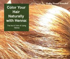 When your time is up, take a shower and shampoo and condition your hair. How To Dye Your Hair With Henna Indigo Natural Chemical Free Inexpensive And Beautiful All Posts Healing Harvest Homestead