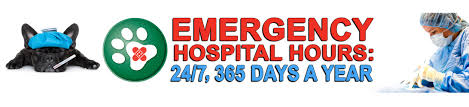 Quickly search for your nearest 24 hour vet using our handy location tool. 24 Hour Emergency Pet Care Animal Clinic Of Billings