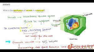 Maybe you would like to learn more about one of these? What Is The Significance Of Vacuole In A Plant Cell