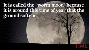 Jan 17, 2017 · 78. 30 Best Moon Quotes For Instagram Full Moon Quotes