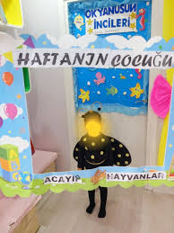 Acayip Hayvanlar Ari Goruntuler Ile Hayvanlar