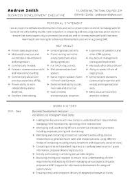 Microsoft Word Business Development Cv Template Cv Template Master Business Development Plan Business Development Cv Template