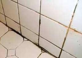 How To Remove Mold From Grout Shower And Kitchen Mold In Bathroom Shower Mold Black Mold In Shower