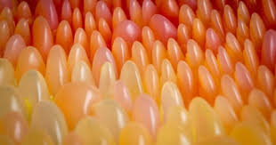 3d Printed Chaise Longue By Neri Oxman Forms A Multi Coloured Cocoon Neri Oxman Digital Art Design 3d Printing Art