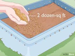It is also possible to purchase worm composting bins. How To Grow Your Own Fishing Worms 11 Steps With Pictures