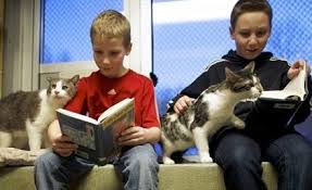 kedilere kitap okuyan cocuklarin ozguveni daha yuksek oluyor kedi hayvanlar hayvan barinagi