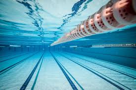 We did not find results for: Suburban Athletic S Lap Lane Schedule Pool Hours Indoor Swimming Pool