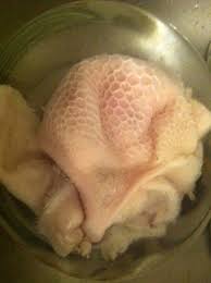 Jun 27, 2021 · اسرع طريقة لتنظيف الكرشة في البيت. Ø¨Ø§Ù„ØµÙˆØ± Ø·Ø±ÙŠÙ‚Ø© ØªÙ†Ø¸ÙŠÙ Ø§Ù„ÙƒØ±Ø´Ø© Ù„Ù„Ø¹ÙŠØ¯ Ø´Ù…Ù„ÙˆÙ„Ø©