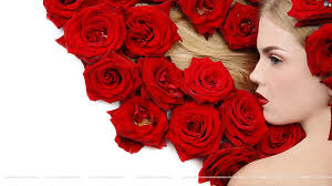 HD rose f wallpapers