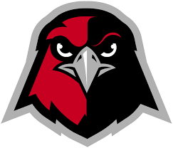 By downloading this logo you agree with our terms of use. Hawk Logos