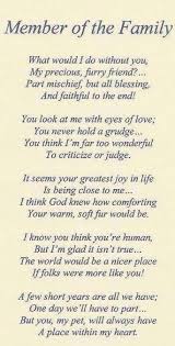 To My Cody Till We Meet Again 2002 2018 Dog Poems Pet Poems Pet Loss Grief