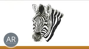 Wie soll man anfangen mit der zeichnerei? Tiere Zeichnen So Gelingen Dir Einfache Aber Schone Tierillustrationen Zeichenkurse Mappenkurse Youtube