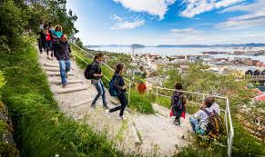 Things to do near the polar bear society. Hammerfest The Norwegian Town That Almost Vanished