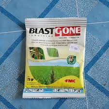 Penyakit kuning semacam itu tidak memerlukan terapi medis dan berhenti menyusui. Blastgone 75wp 25gr Fungisida Anti Blast Daun Padi Anti Kuning Daun Padi Shopee Indonesia