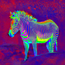 A collection of the top 60 neon animals wallpapers and backgrounds available for download for free. Neon Animal Wallpaper Animal Hd Wallpapers