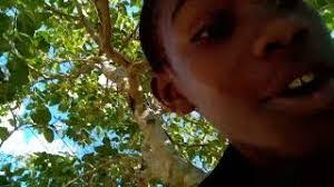 Davian Parker's Instagram, Twitter & Facebook