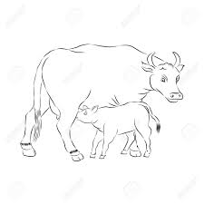 Little cow, donkey, baby goat, foal. Cow And Calf Outline Vector Silhouette Illustration Sketch Hand Royalty Free Cliparts Vectors And Stock Illustration Image 80981974