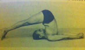 Image result for halasana iyengar