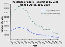 Hepatitis B Faqs For Health Professionals Thebodypro