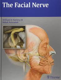 Rods are found in large. Buy The Facial Nerve Book Online At Low Prices In India The Facial Nerve Reviews Ratings Amazon In