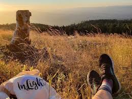 Maybe you would like to learn more about one of these? 6 Yoga Retreats In Oregon Bookyogaretreats