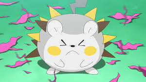 Pokemon Vgc 2017 Collinsville Regional Wraps Up Alex Underhill Takes First Togedemaru Steals Show The spiny fur on its back is normally at rest. pokemon vgc 2017 collinsville regional