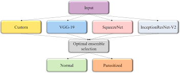 performance evaluation of deep neural ensembles toward