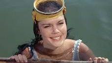 Flipper (1964) season 1 Flipper's Monster Reviews