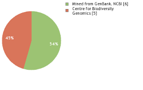 Image result for Diheteropogon amplectens