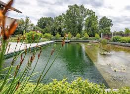 P4n Gartenanlage In 2020 Hinterhof Garten Ideen Schwimmteich Hinterhof Garten
