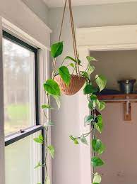 Hanging Terra Cotta Planter Terracotta Planter Terracotta Flower Pots Planters