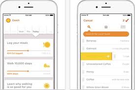 Noom Coach App Review Health Navigator Nz