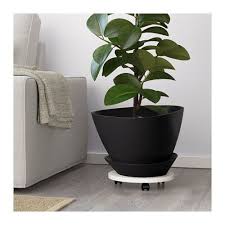 Ikea Us Furniture And Home Furnishings Ikea Plants Indoor Plant Pots Indoor Plants Diy