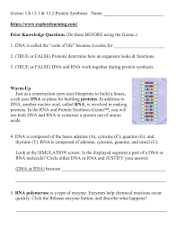 This worksheet can be used to introduce the topic of chromosomes, genes and dna (with teacher explanation) or could be used as part of a recap lesson. Protein Synthesis Computer Gizmo