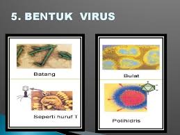 Sebanyak 90 persen pasien yang terserang virus ebola meninggal, artinya hanya 10 persen saja pasien yang terinfeksi virus ebola yang dapat selamat. Bab Ii Virus Peta Konsep Virus 4 Dimitri
