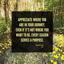 Appreciate Where You Are In Your Journey Even If Its Not Where You Want To Be Every Season Serves A Purpose Inspirational Words Positivity Notes Words Quotes