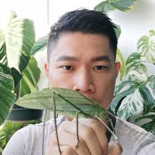 Insect Photo Competition by Mimmy Adventure