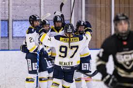 Hv 71 on wn network delivers the latest videos and editable pages for news & events, including entertainment, music, sports, science and more, sign up and share your playlists. Dam Good Healey Heats Up For Hv71 Laptrinhx News