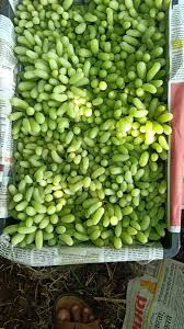 300 members are elected by direct polls in their respective constituencies whoever wins the most votes, regardless of turnout or proportion, wins the election. Muhammad Ahsan Ullah Ahsaniweaver Twitter