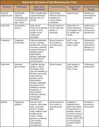 Pin On Bacteriology