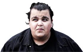 Dagbok från ett rasistiskt Sverige