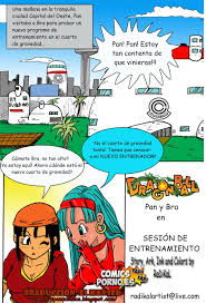 Pan And Bras New Trainer [RaDiKaL] (Dragon ball GT) - Ver Comics Porno XXX  en Español