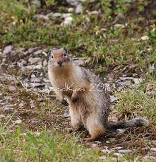 Doug and Kim Cummins
