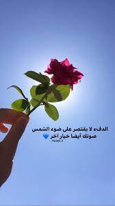 pin by on جلسة تصوير sweet quotes love words cute little baby girl